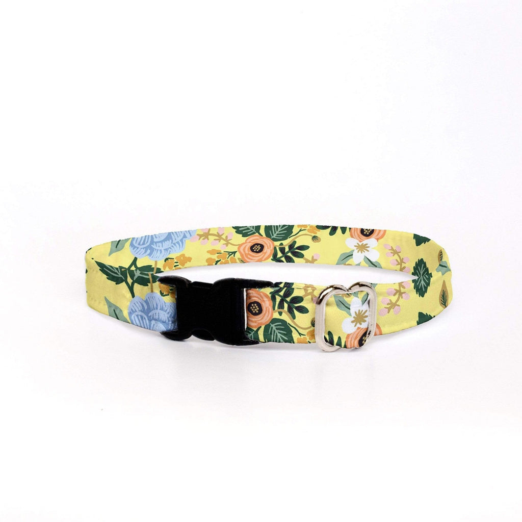 Cat Collar - Birch Yellow