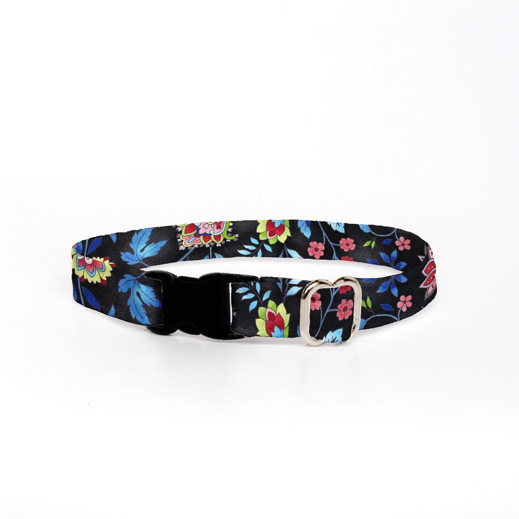 Cat Collar - Paisley Wonder