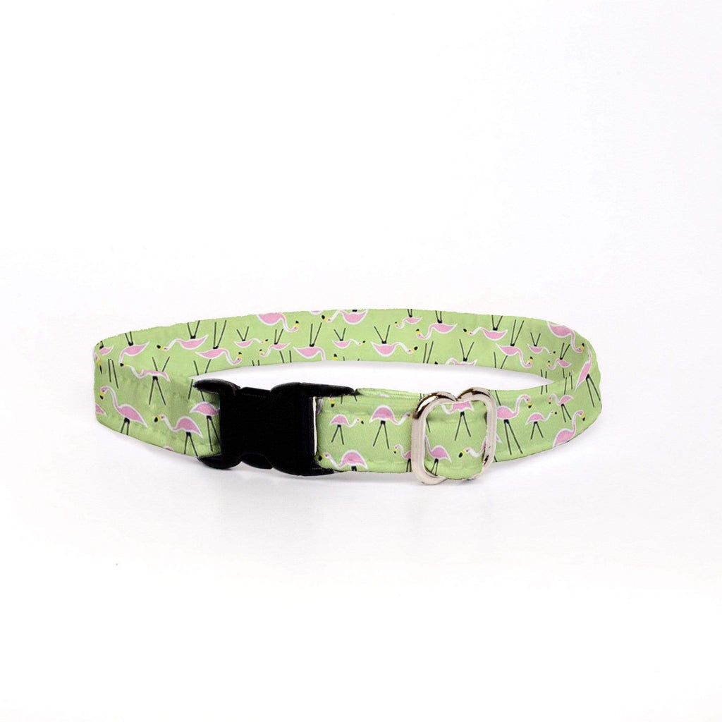 Cat Collar - Pink Flamingo's Green