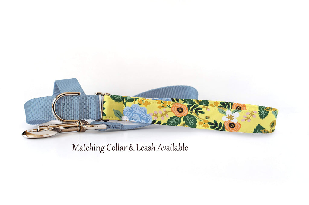 Dog Collar - Birch Yellow