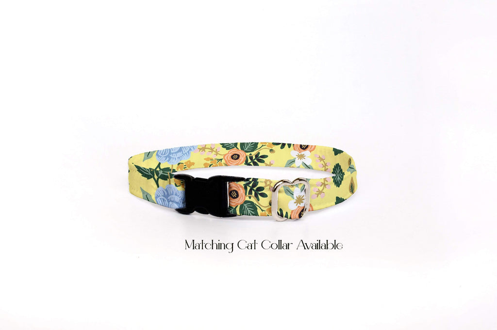 Dog Collar - Birch Yellow