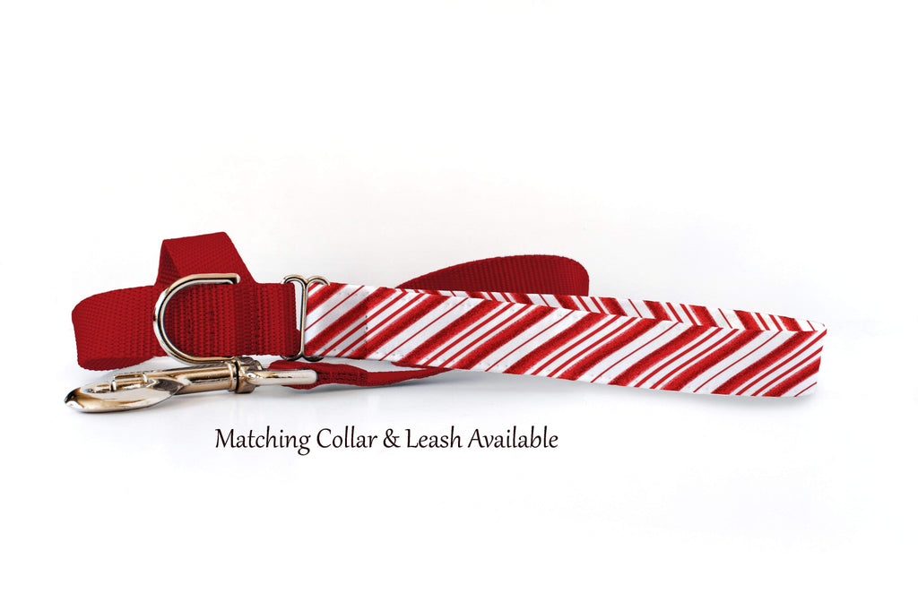 Dog Collar - Candy Cane Red