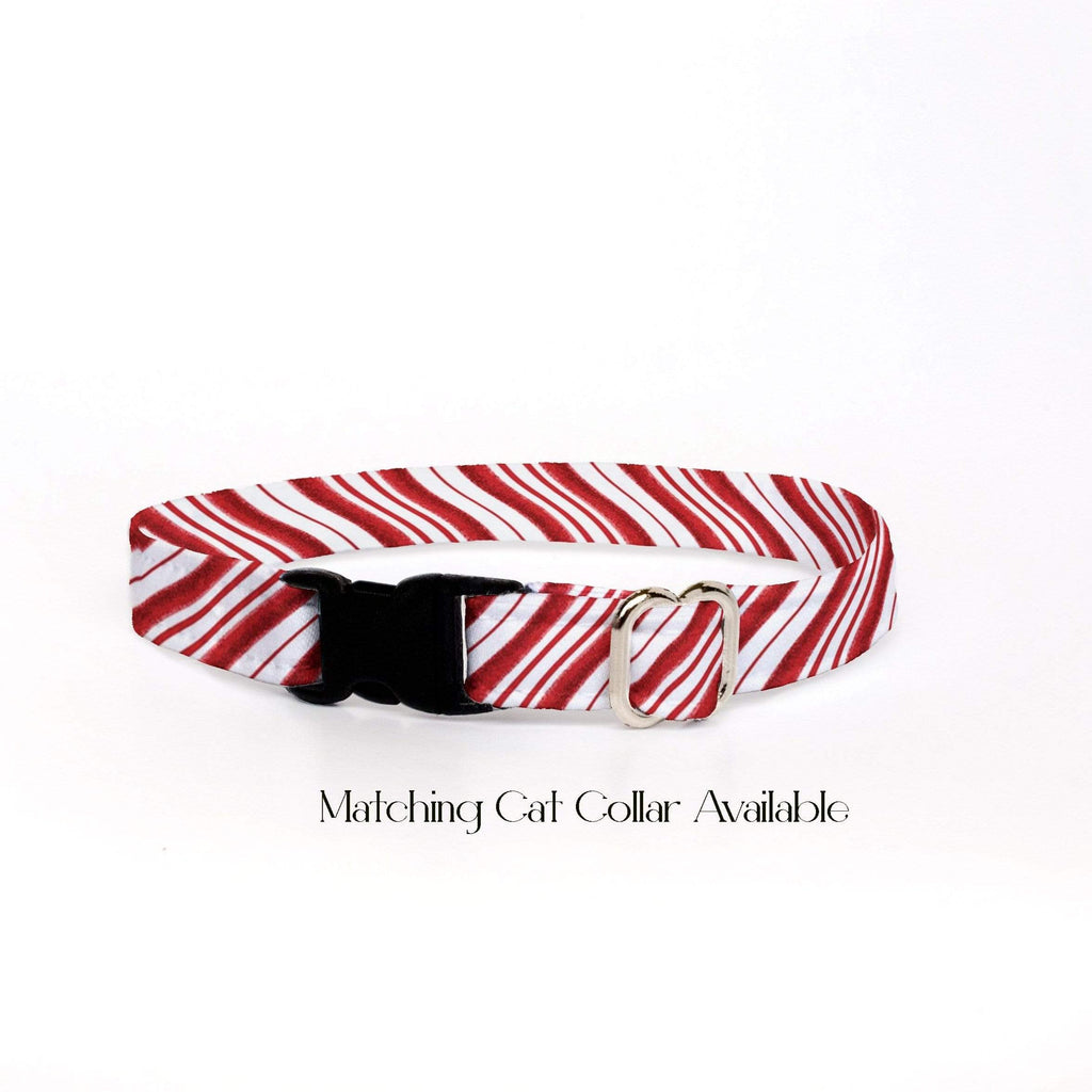 Dog Collar - Candy Cane Red