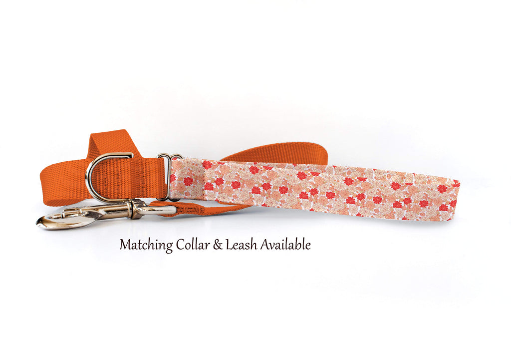Dog Collar - Garden Delights in Coral