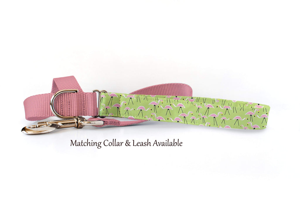 Dog Collar - Pink Flamingo's Green