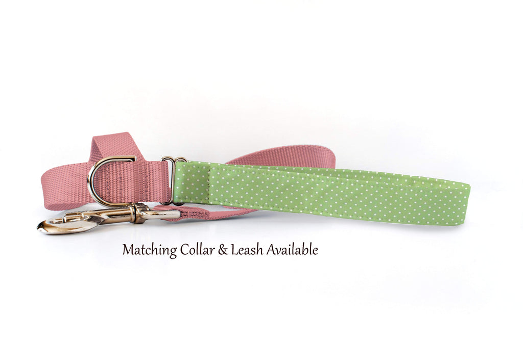 Dog Collar - Polka Dots Green