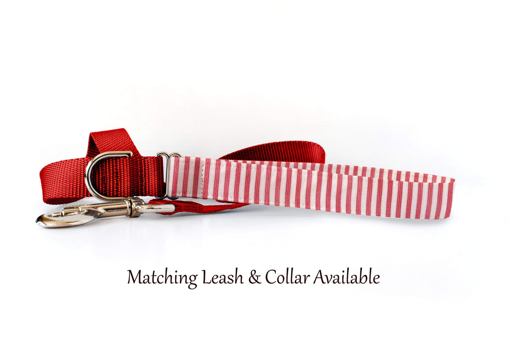 Dog Collar - Red Ticking